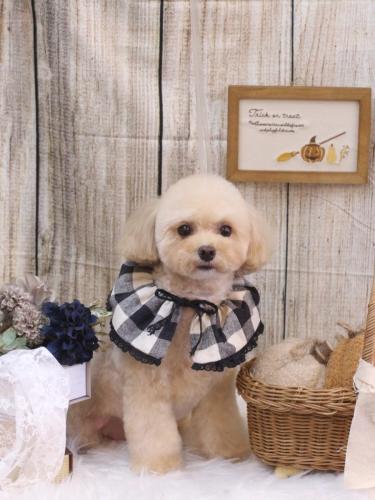 20241024むぎちゃん